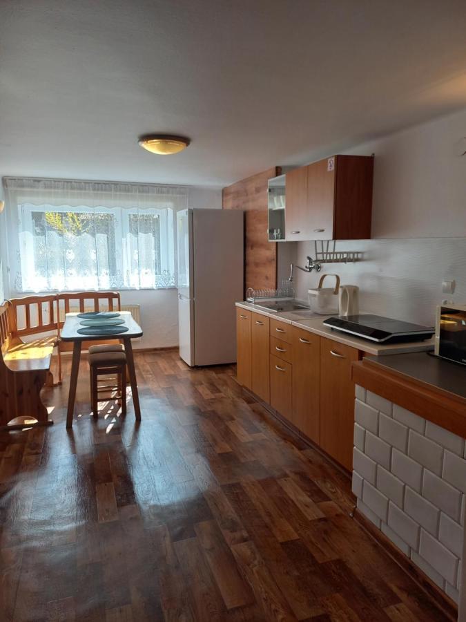 U Tylki Studio Z Widokiem Na Gory Zakopane Eksteriør billede